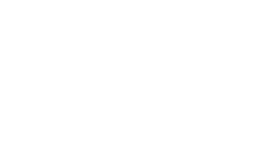 SEI logo Footer